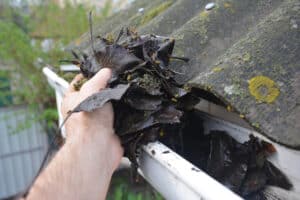 Roofer Cleaning Rain Gutter